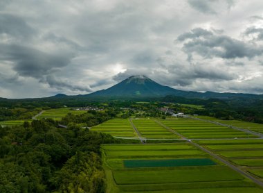 Terraced rice fields at the food of Mt. Daisen in Tottori, Japan on cloudy day. High quality 4k footage