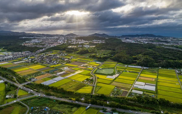 Solstrålarna Brast Genom Stormmoln Över Risfälten Utkanten Staden Högkvalitativt Foto — Stockfoto