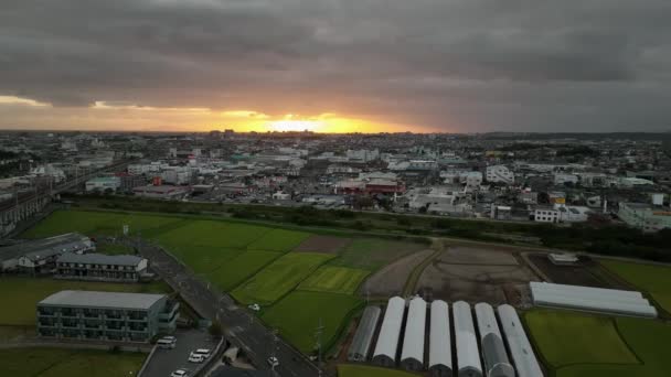 Langsame Bewegung Über Reisfelder Neben Der Weitläufigen Stadt Bei Sonnenuntergang — Stockvideo