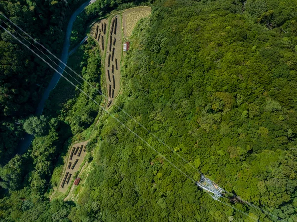 Top-down view of tower and electrical wires over small farm in country. High quality photo