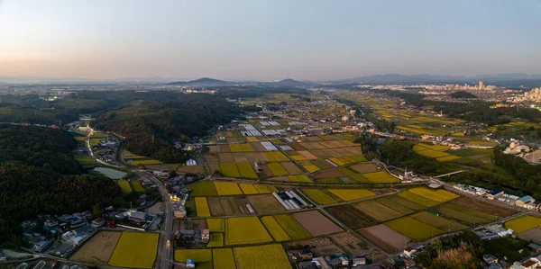 Sonbahar renkleri altın saatinde olan panoramik tarım arazisi manzarası. Yüksek kalite fotoğraf