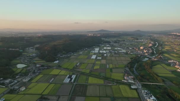 Zjeżdżalnia Lotnicza Nad Polami Ryżowymi Gospodarstwami Obszarach Wiejskich Zachodzie Słońca — Wideo stockowe