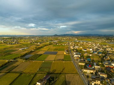 Küçük bir kasabanın kıyısındaki ekinlerin ve tarlaların havadan görünüşü. Yüksek kalite fotoğraf