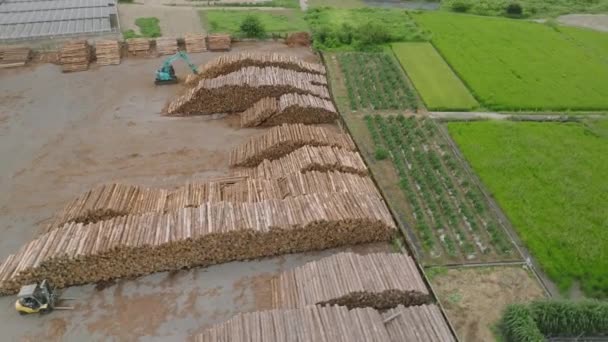 Rotating Stacks Cut Logs Lumber Yard Countryside High Quality Footage — Stock Video