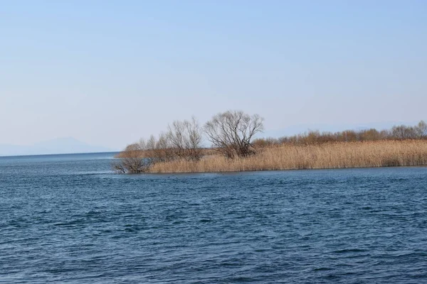 De stroom van de rivier Buna. Vegetatie, uitzicht op pluimvee. — Stockfoto