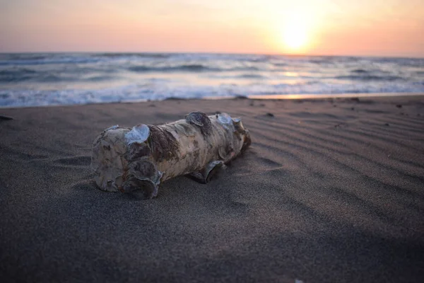 Пластиковые Отходы Выброшены Берег — стоковое фото
