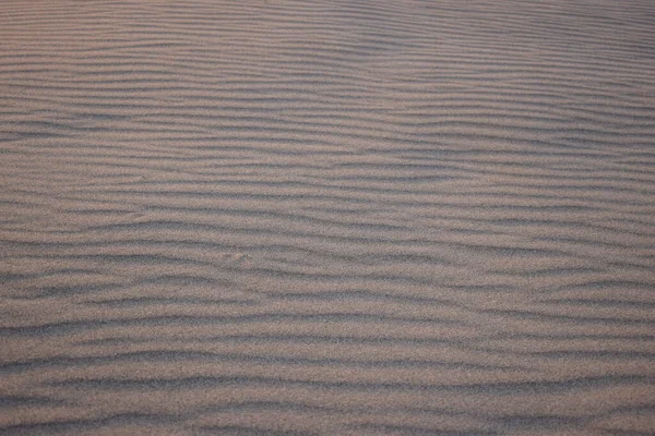 Sanddünen Die Durch Den Wind Entstehen Liege Flach — Stockfoto