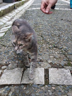 Salies de Bearn, Francia. Localidad francesa a orillas del rio Saleys.