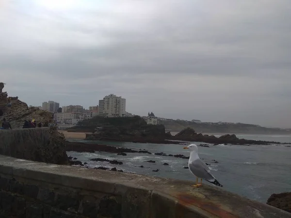 Biarritz França Costa Francesa Basca Cidade — Fotografia de Stock