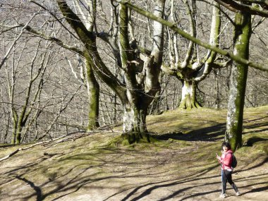 Saldropo bataklığı İspanya 'nın Gorbeia Doğal Parkı' nda yer almaktadır..