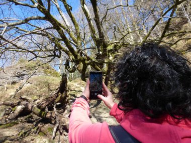 Saldropo bataklığı İspanya 'nın Gorbeia Doğal Parkı' nda yer almaktadır..