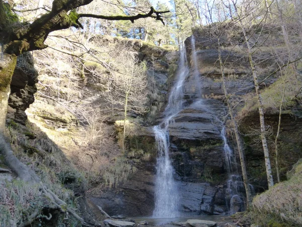 Het Saldropo Wetland Gelegen Het Natuurpark Gorbeia Spanje — Stockfoto