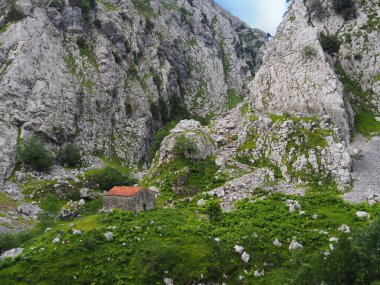 İspanya, Picos de Europa 'nın ortasındaki Bulnes' e giden yol..