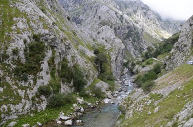 İspanya, Picos de Europa 'nın ortasındaki Bulnes' e giden yol..
