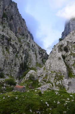 İspanya, Picos de Europa 'nın ortasındaki Bulnes' e giden yol..