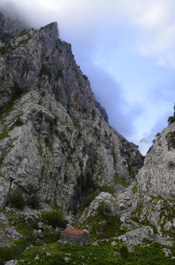 İspanya, Picos de Europa 'nın ortasındaki Bulnes' e giden yol..