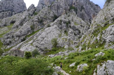 İspanya, Picos de Europa 'nın ortasındaki Bulnes' e giden yol..
