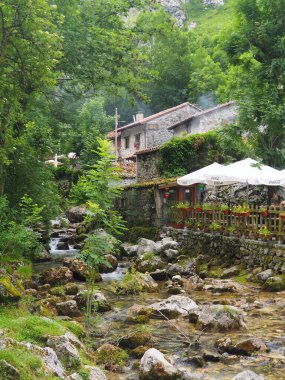 İspanya, Picos de Europa 'nın ortasındaki Bulnes' e giden yol..