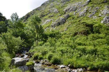 İspanya, Picos de Europa 'nın ortasındaki Bulnes' e giden yol..