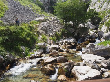 İspanya, Picos de Europa 'nın ortasındaki Bulnes' e giden yol..