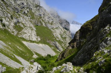 İspanya, Picos de Europa 'nın ortasındaki Bulnes' e giden yol..