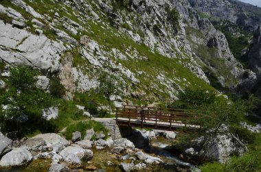 İspanya, Picos de Europa 'nın ortasındaki Bulnes' e giden yol..