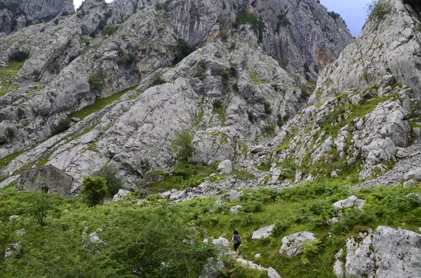 Rutten Till Bulnes Mitt Picos Europa Spanien — Stockfoto