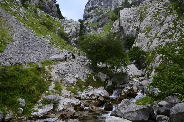 İspanya, Picos de Europa 'nın ortasındaki Bulnes' e giden yol..