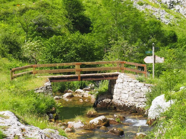 Route Bulnes Middle Picos Europa Spain — Stock Photo, Image