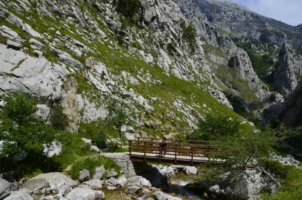 İspanya, Picos de Europa 'nın ortasındaki Bulnes' e giden yol..