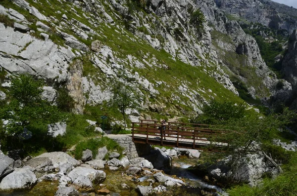 İspanya, Picos de Europa 'nın ortasındaki Bulnes' e giden yol..