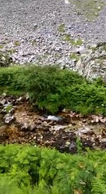 İspanya, Picos de Europa 'nın ortasındaki Bulnes' e giden yol..