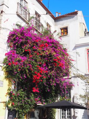 Portekiz 'in başkenti Lizbon, bir kıyı şeridi ve aynı zamanda dağlık bir şehir..