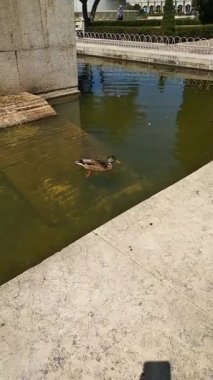 Lizbon 'daki Belem bölgesinde, güzel kulesi göze çarpıyor. Portekiz.
