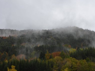 Isaba, Navarrese Pirenesi 'nde büyüleyici bir kasaba. İspanya.