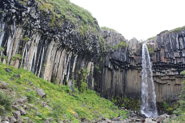 Svartifoss Cascada Negra Islandia —  Fotos de Stock