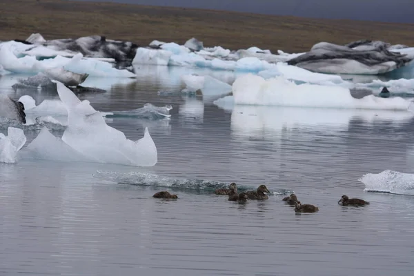 Jokulsarlon Lago Glacial Sul Islândia — Fotografia de Stock