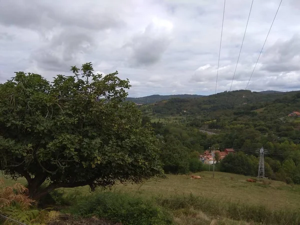 Bilbao yakınlarındaki Bolintxu şelalesinin yolu. İspanya.