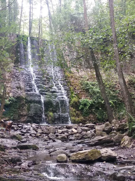 Route Des Bolintxu Wasserfalls Der Nähe Von Bilbao Spanien — Stockfoto