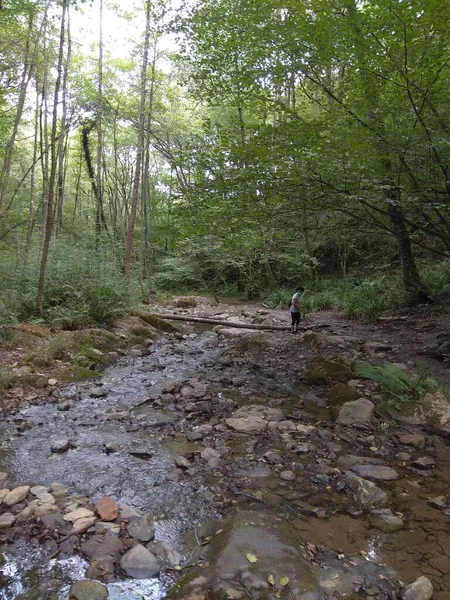 Route Bolintxu Waterfall Bilbao Spain — Foto Stock