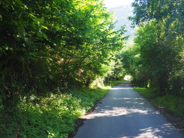 Senda del Oso, Asturias 'ta bir yeşil alandır. İspanya.