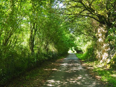 The Senda del Oso is a greenway in Asturias. Spain.