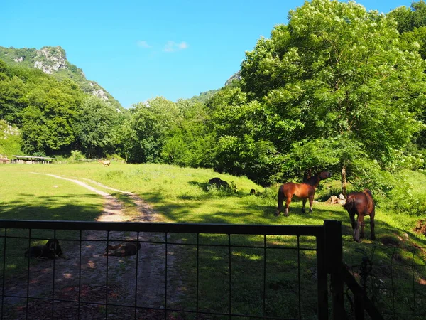 Senda Del Oso Greenway Asturias Spain — стоковое фото