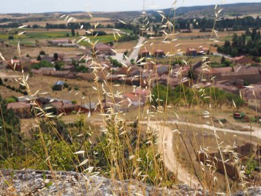 Pearanda de Duero, Burgos eyaletinde kendi kalesi olan bir belediye. İspanya.