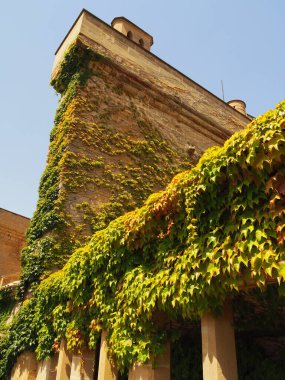 Olite ve kraliyet sarayı, Navarra krallarının sarayı. İspanya.