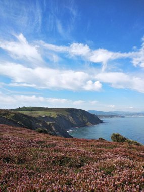 Bask Sahili, Bask kayalıkları arasında bahar günü. İspanya.
