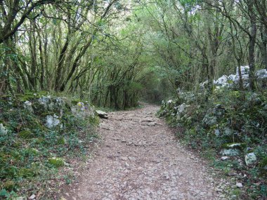 Santoa 'daki Deniz Feneri Yolu' nda. İspanya.