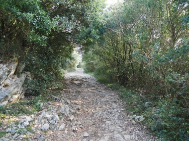 Santoa 'daki Deniz Feneri Yolu' nda. İspanya.