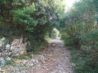 Santoa 'daki Deniz Feneri Yolu' nda. İspanya.