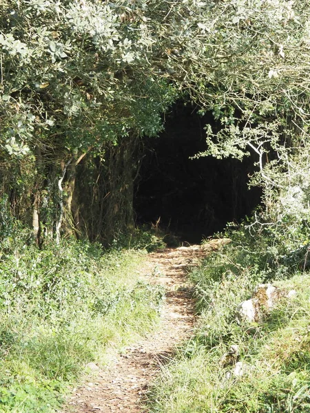 Route Van Vuurtoren Van Het Paard Santoa Spanje — Stockfoto